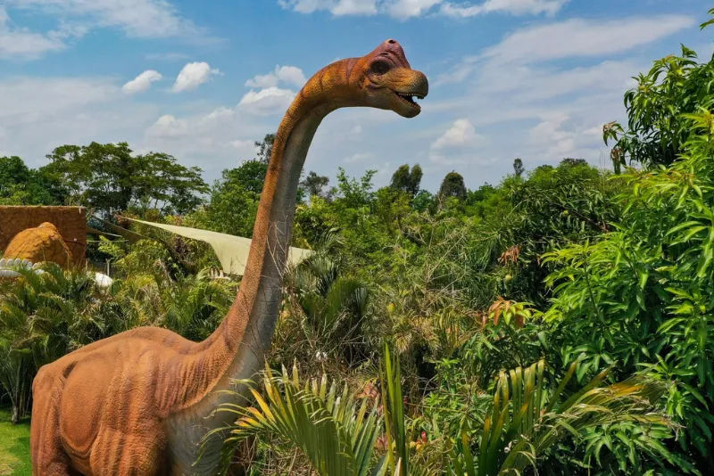 Imagem 2 do Vale dos Dinossauros