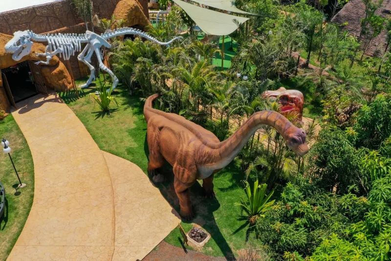 Imagem 5 do Vale dos Dinossauros