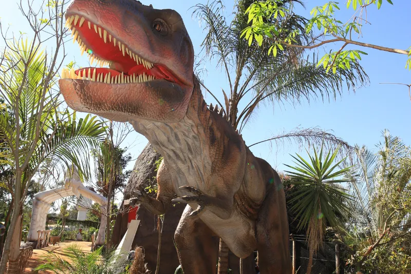 Imagem 10 do Vale dos Dinossauros