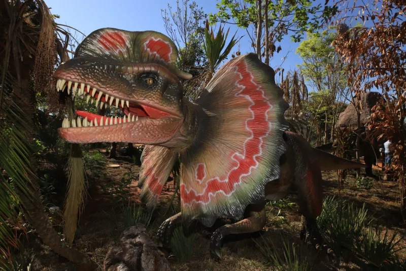 Foto de um dos nossos dinossauros do vale