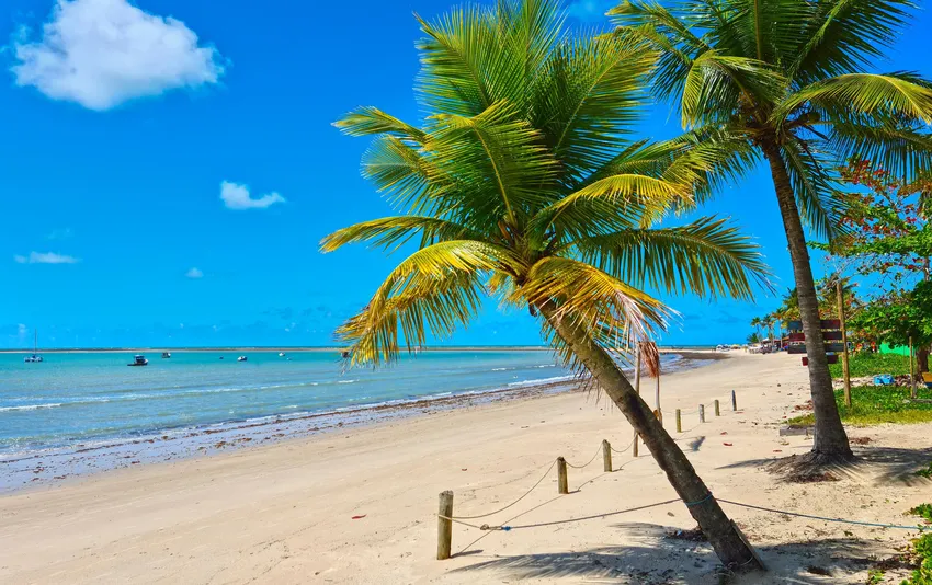 Porto Seguro - BA 
