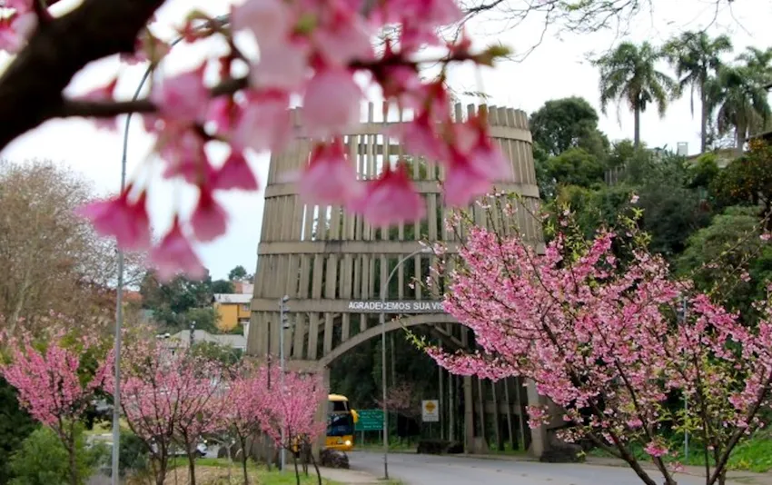 Imagem 3 de Bento Gonçalves - RS