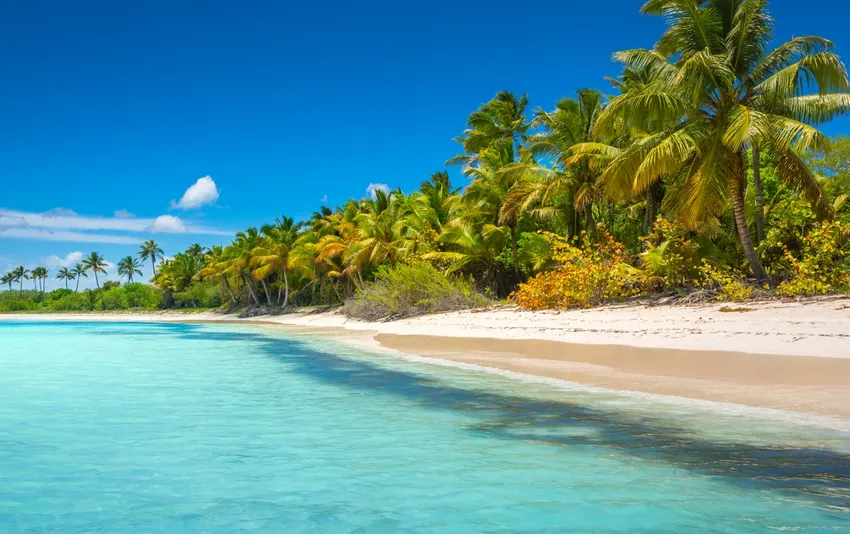 Imagem 3 de Punta Cana