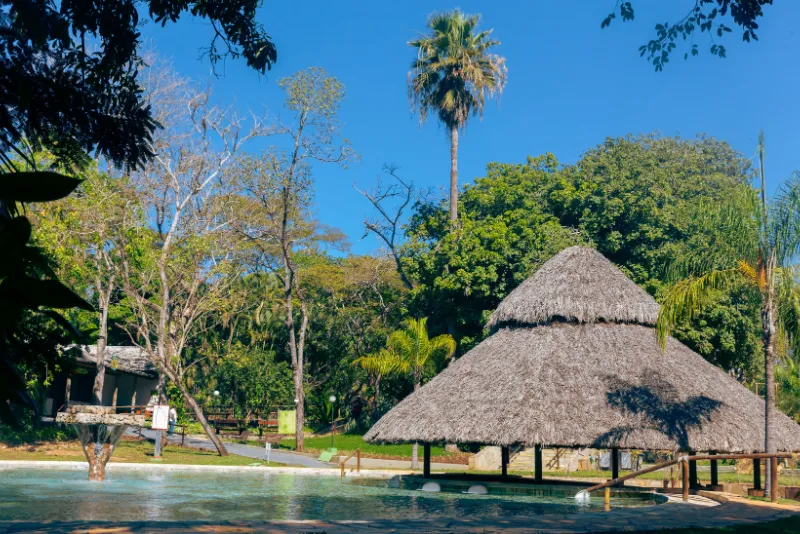 Imagem 6 do Hotel Eco Chalé