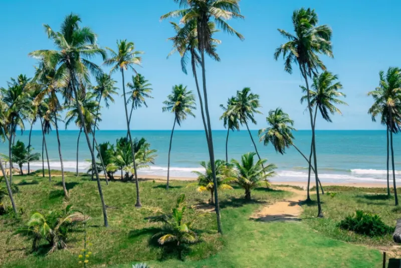 Imagem 9 do Iberostar Bahia Hotel All Inclusive