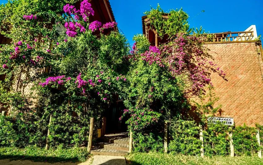 Imagem 4 do Haka Maori Jericoacoara