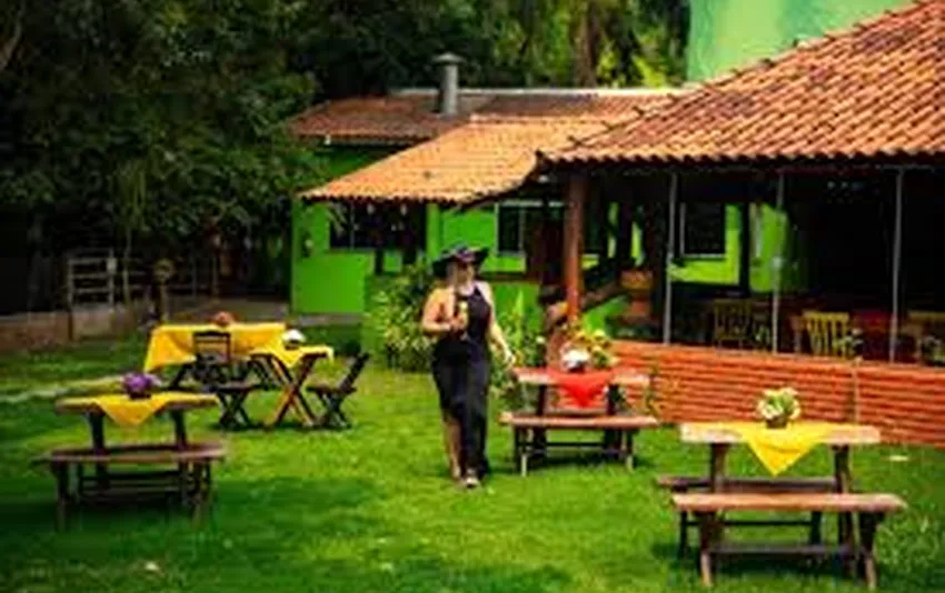 Foto do jardim