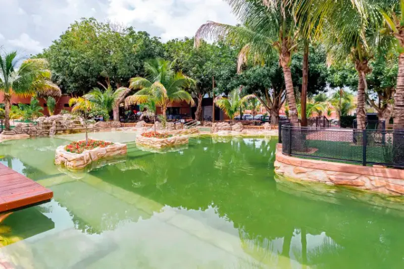 Foto do lago