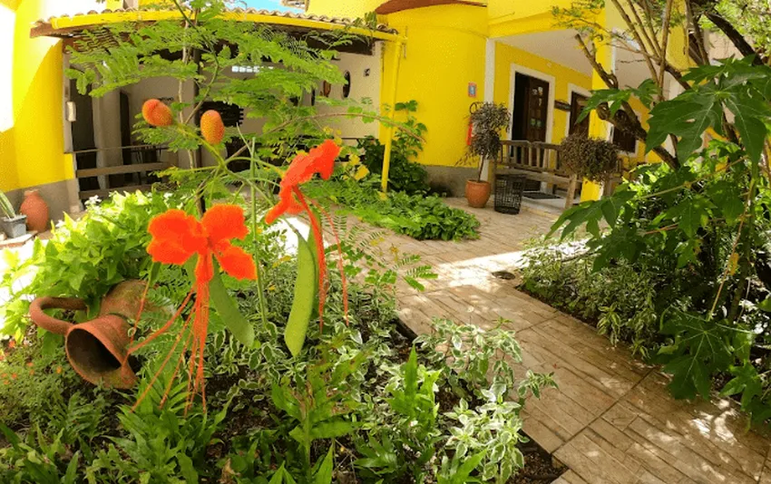 Foto do jardim