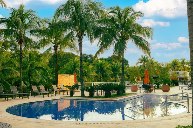 Foto de uma de nossas piscinas com vista arborizada.