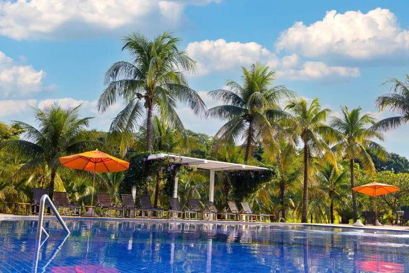 Foto das piscinas com vista arborizada