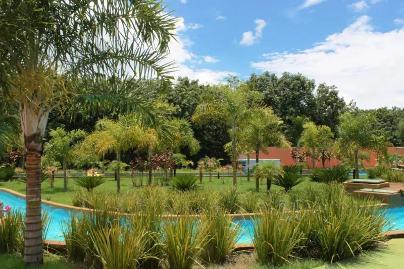 Foto da natureza do hotel