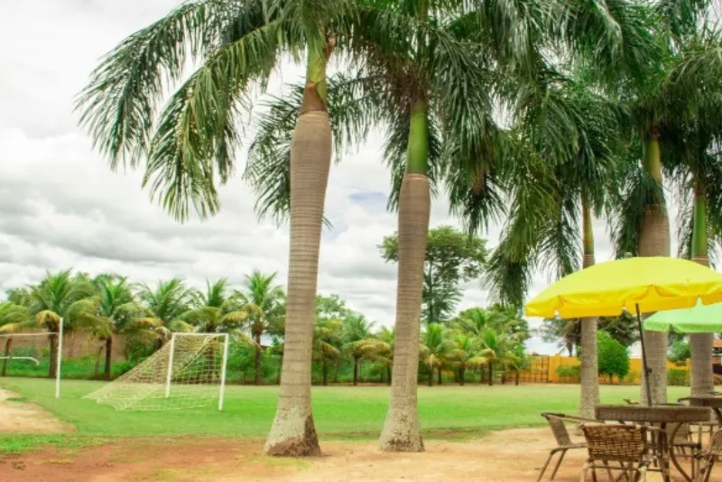 Foto do campode futebol e do jardim do hotel