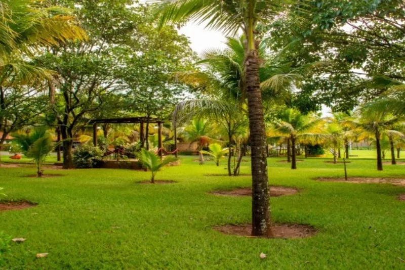 Foto da natureza do hotel