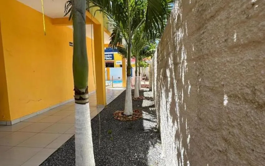 Foto do jardim