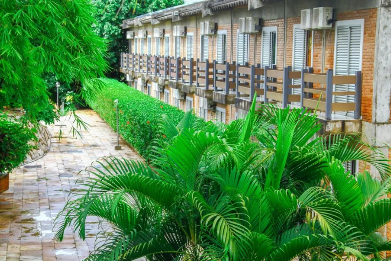 Foto do jardim