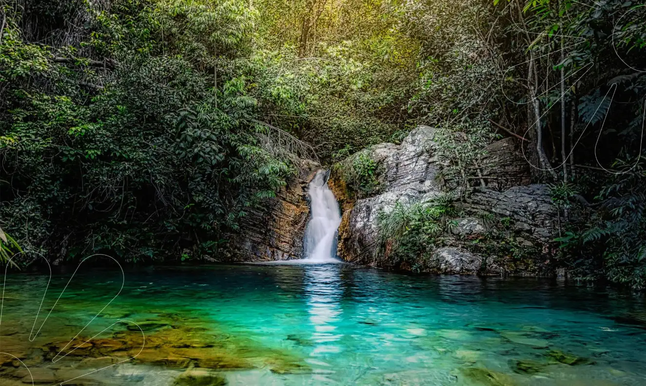Dia Mundial do Meio Ambiente e da Ecologia: um convite a repensar nossas viagens