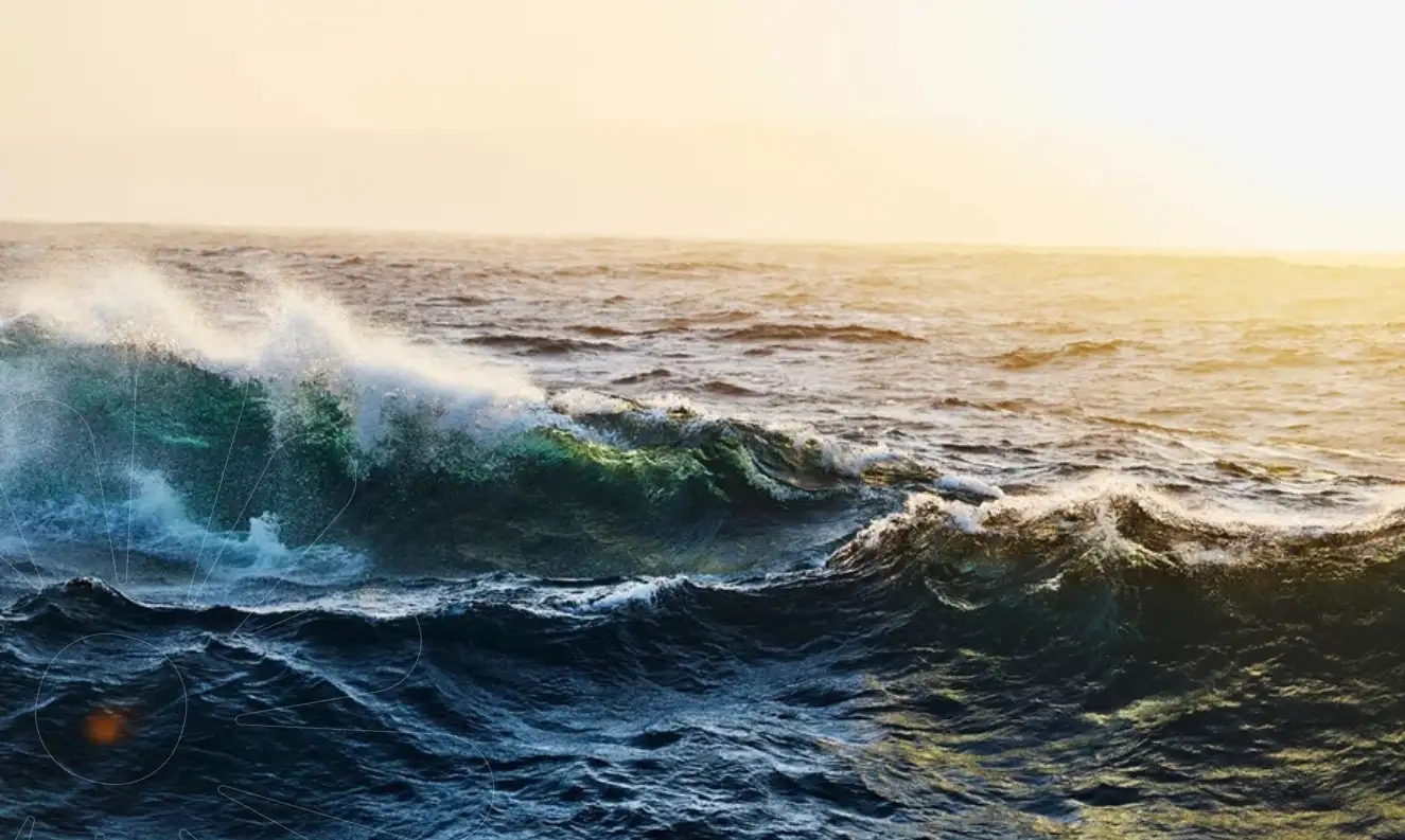 Dia Mundial dos Oceanos: a importância da preservação para o turismo e para as futuras gerações